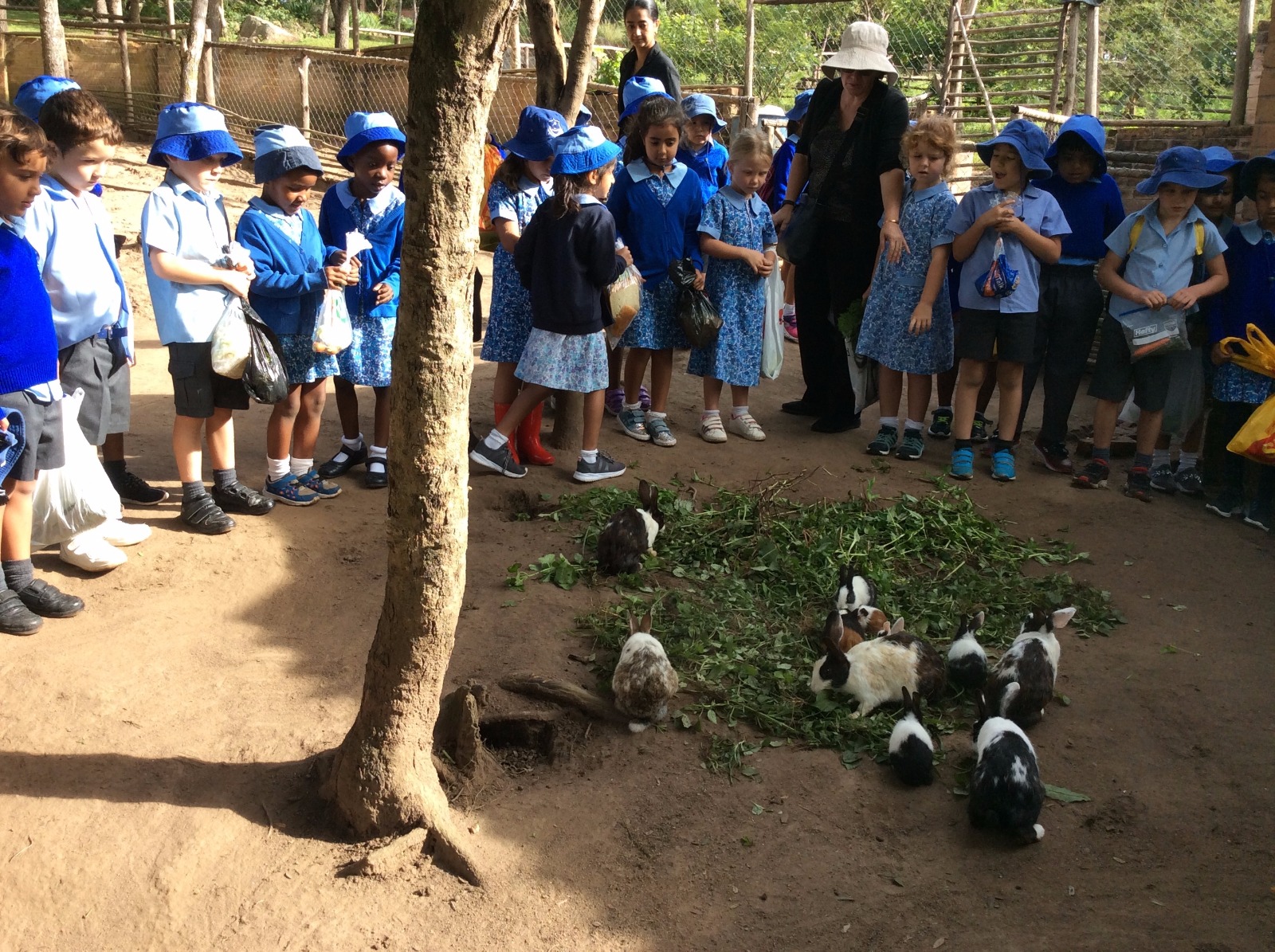 Year 1 Trip to Saunders Farm