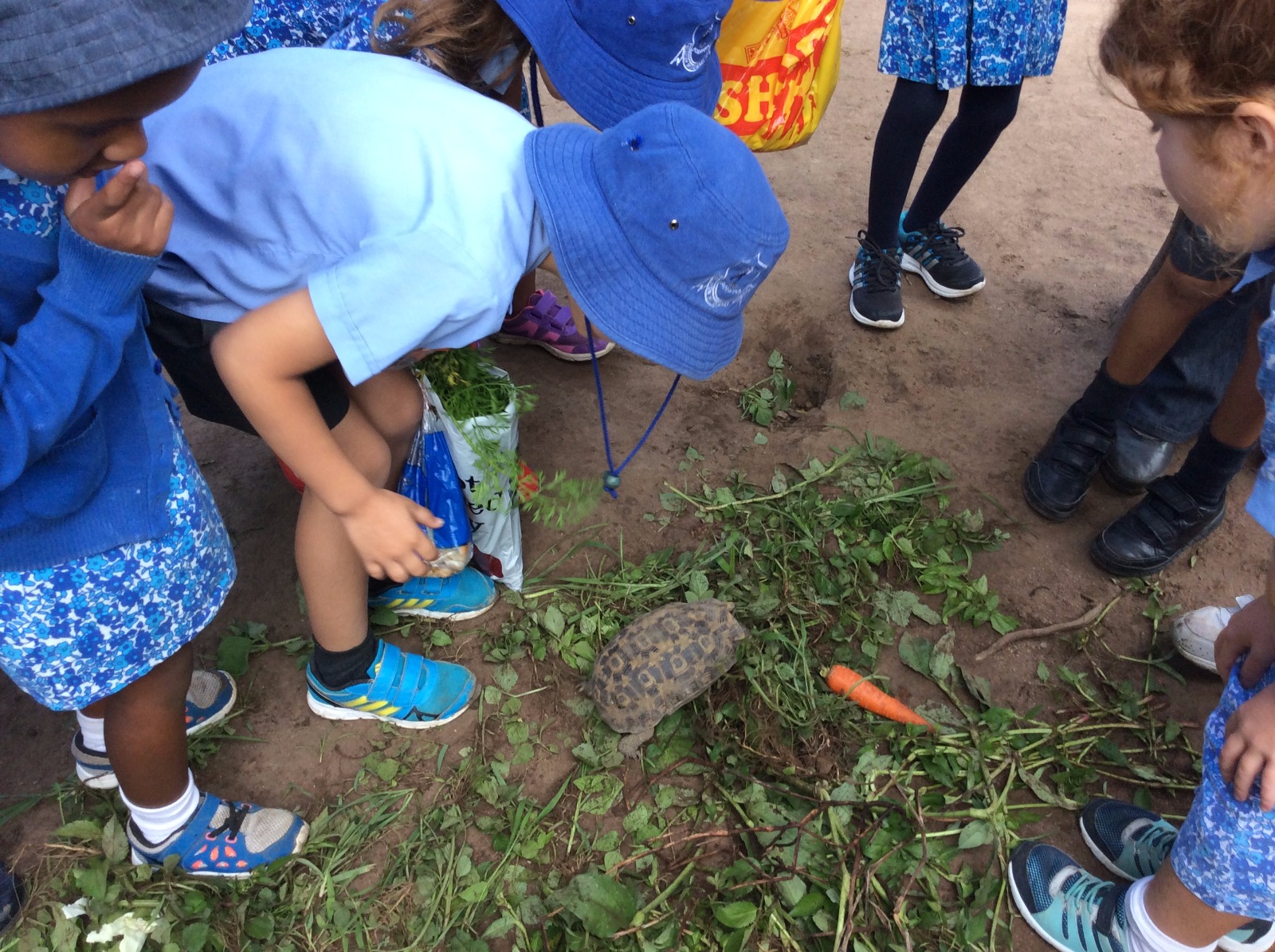 Year 1 Trip to Saunders Farm Hillview International School