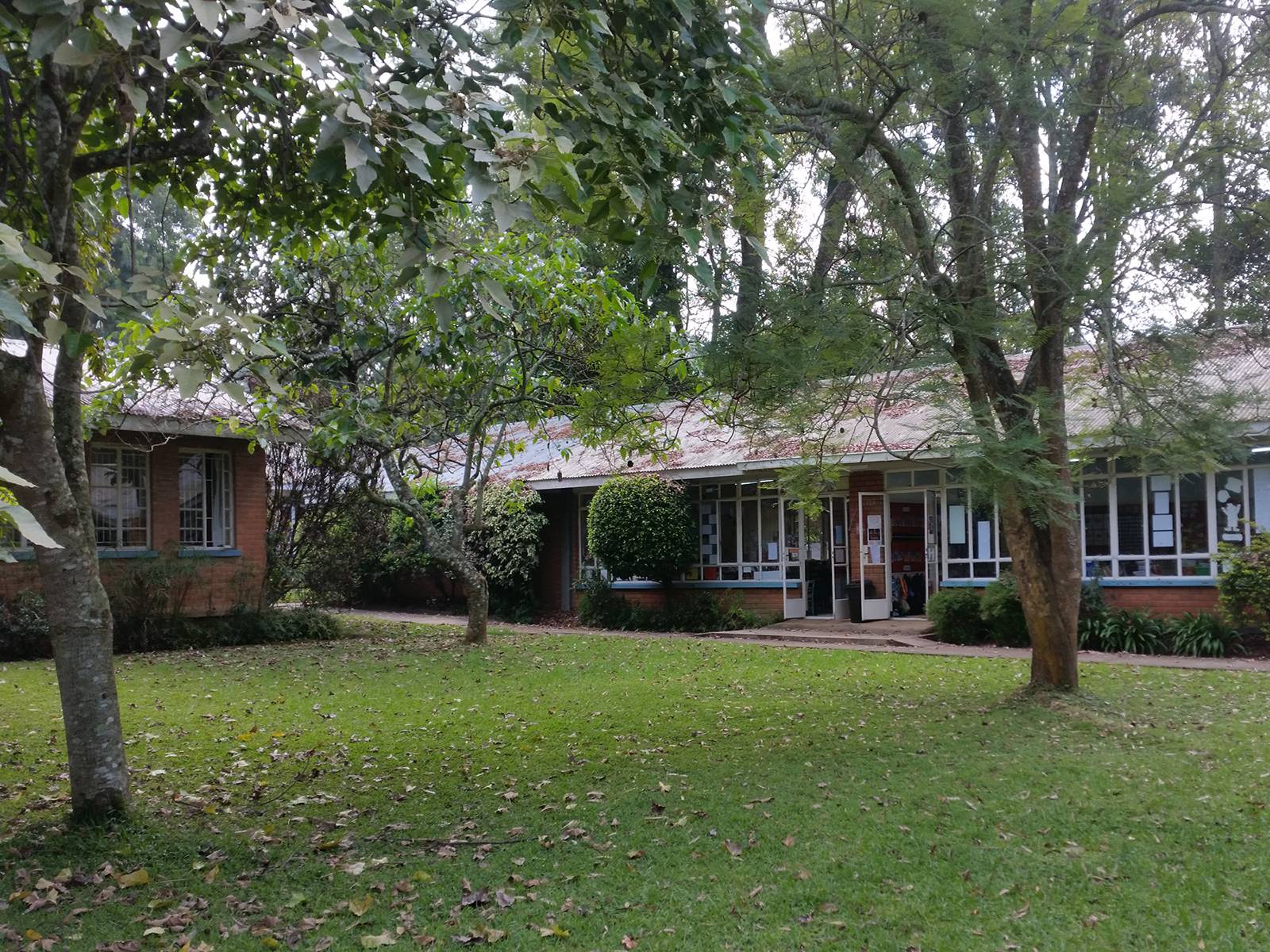 Hillview Primary School